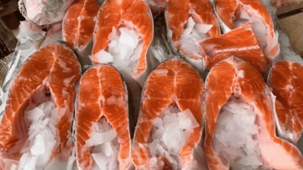 Türkiye'den almak için sıraya girdiler! 3 ayda 91 milyon dolara ulaştı!