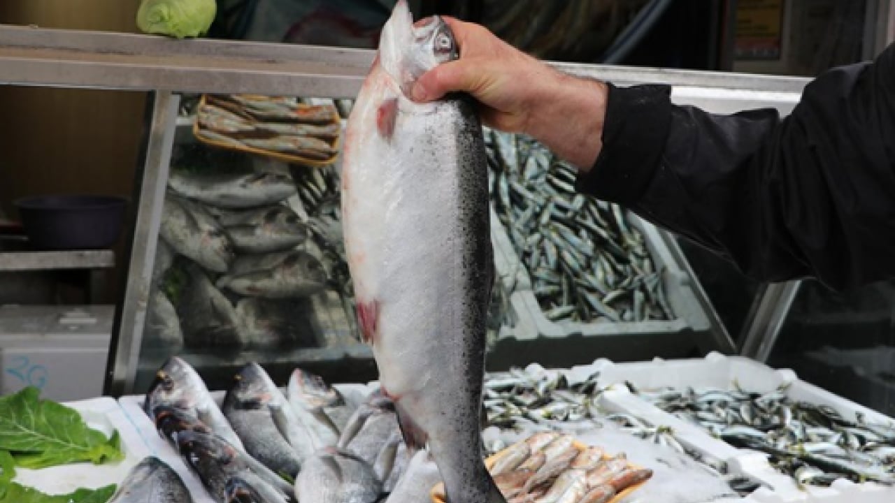 Foto - Türkiye'den almak için sıraya girdiler! 3 ayda 91 milyon dolara ulaştı!