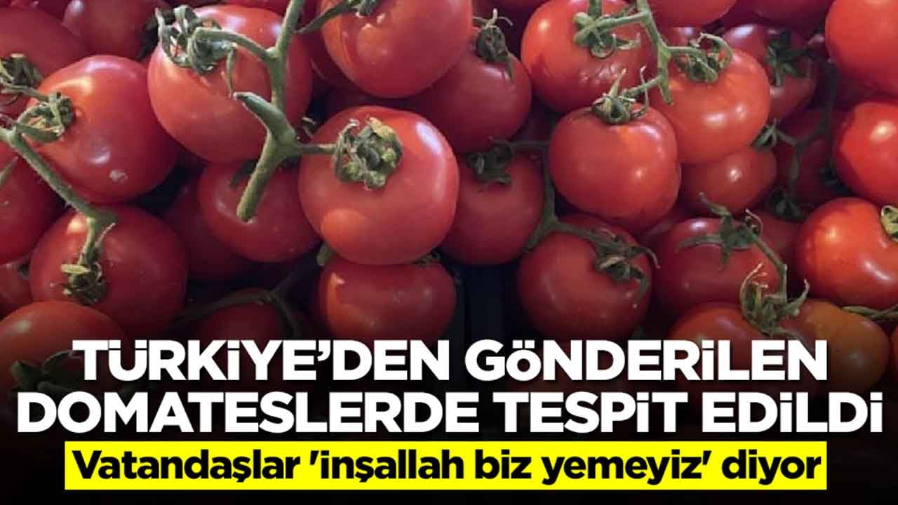 Türkiye'den gönderilen domateslerde tespit edildi: Vatandaşlar 'İnşallah biz yemeyiz' diyor