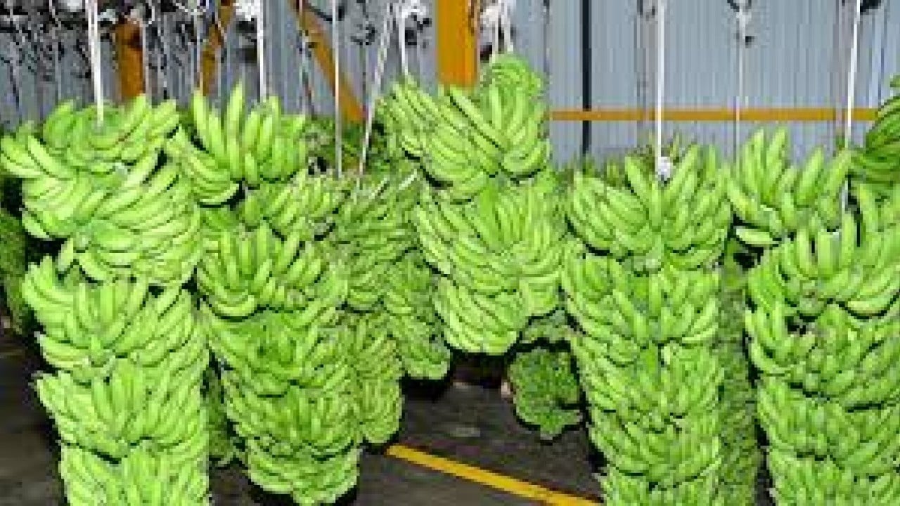 Foto - Türkiye'den görüp yapan Rusya resmen ihya oldu