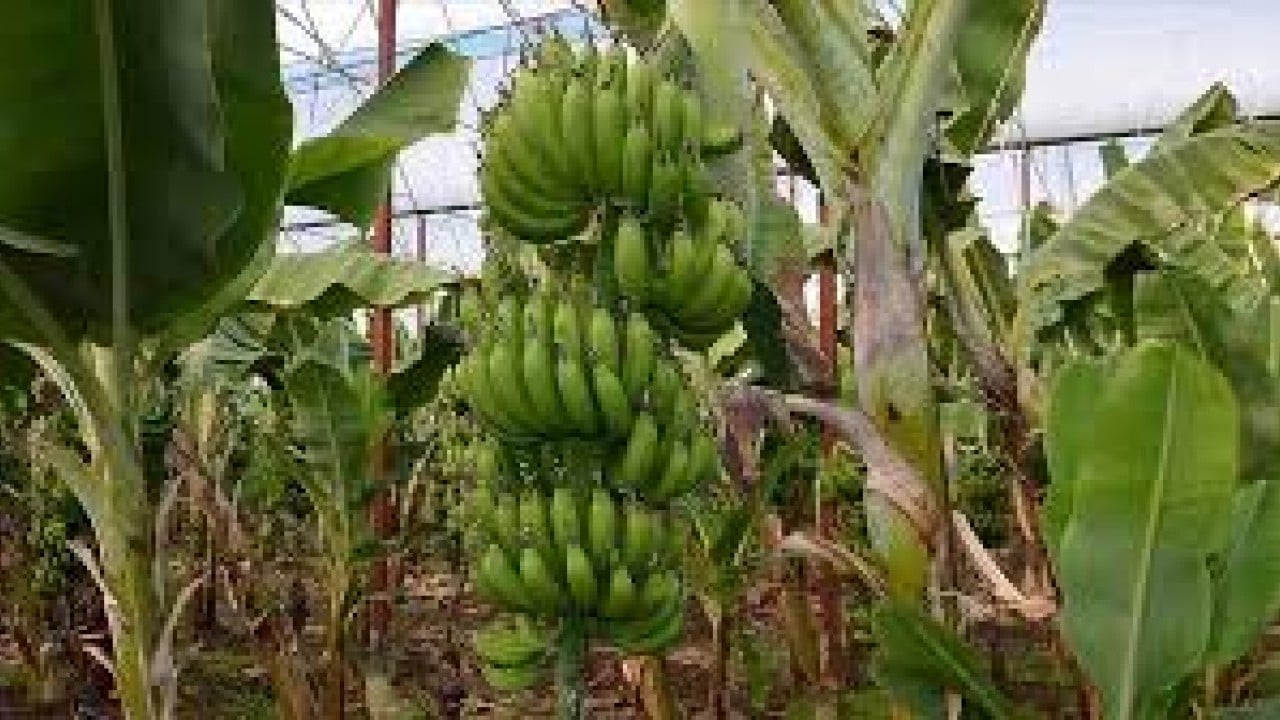Foto - Türkiye'den görüp yapan Rusya resmen ihya oldu