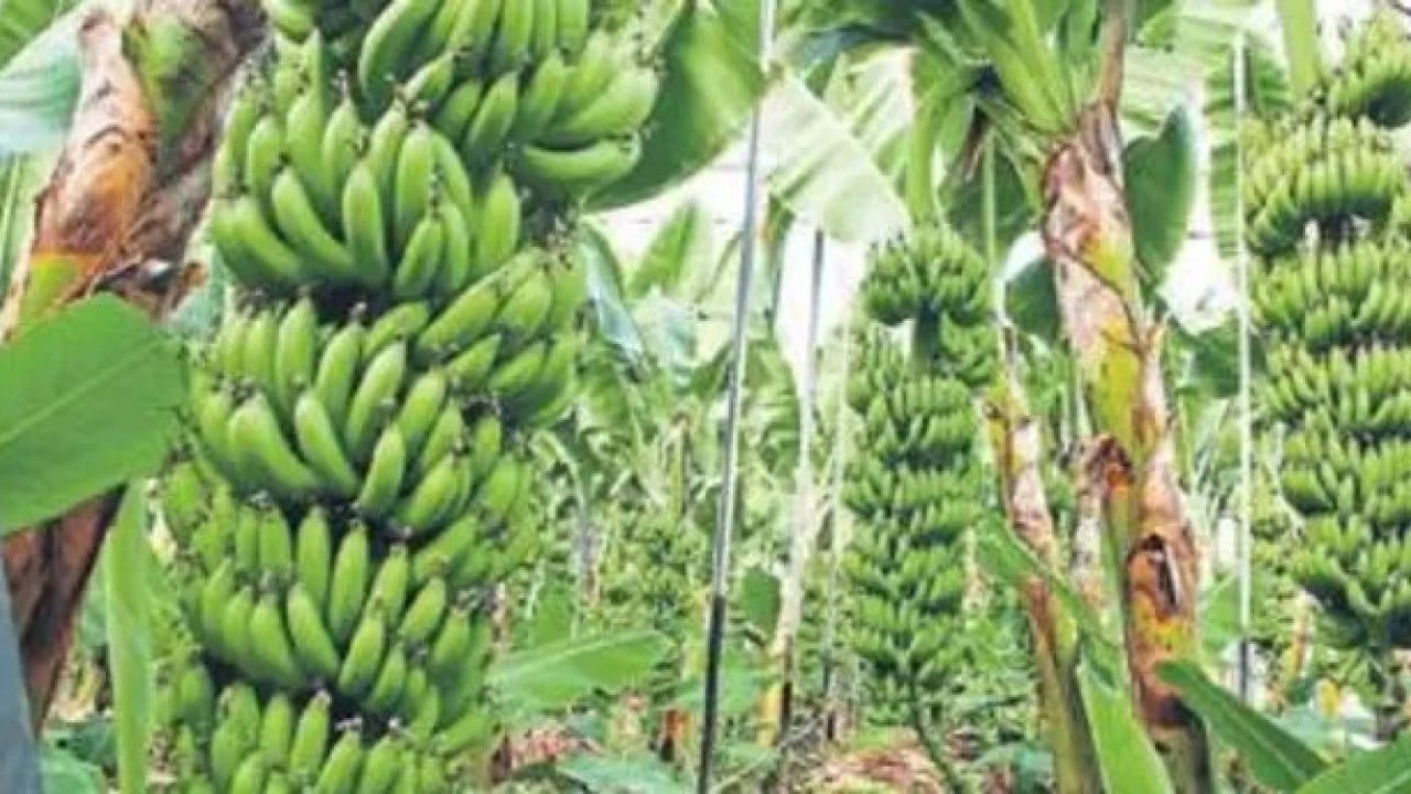 Foto - Türkiye'den görüp yapan Rusya resmen ihya oldu