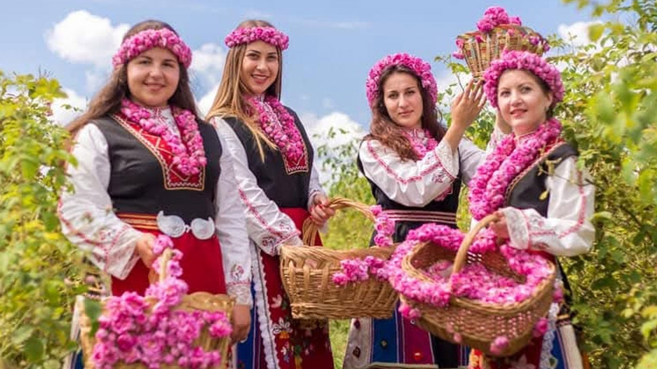 Foto - Türkiye'den götürüp her yere ektiler! Litresi 1.5 milyona satılıyor