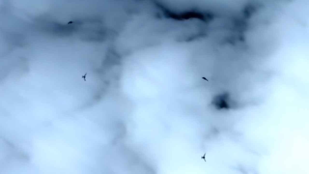 Foto - Türkiye'den İran'ın Shahed-136'sını piyasadan silecek İHA: İşte BAYKAR K2'nin benzersiz özelliği