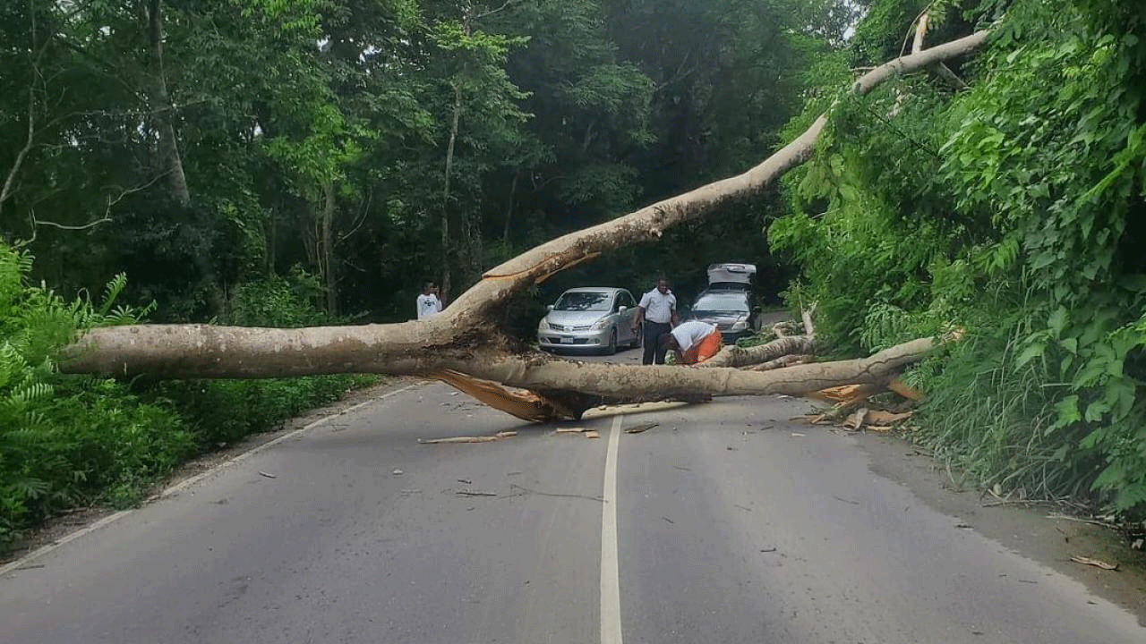 Foto - Türkiye'den Karayipler'e taziye