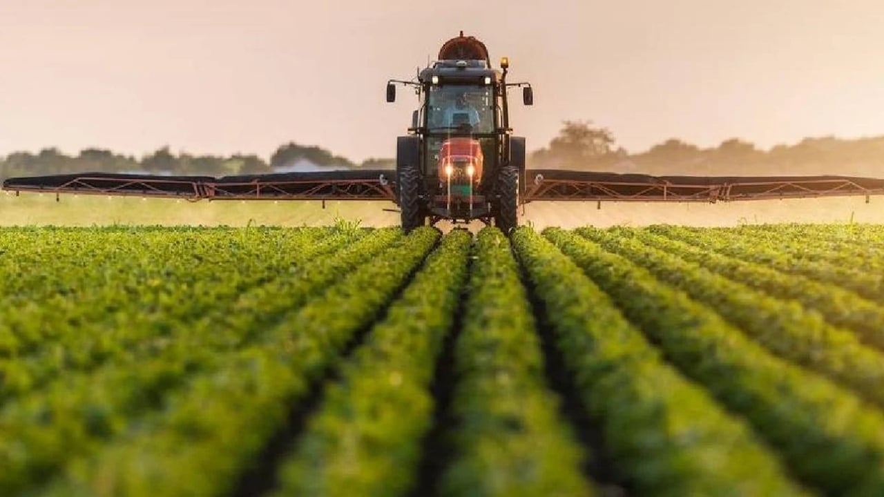 Türkiye’nin çeyrek asırlık çınarı devrildi! 31 yıllık dev şirket sessiz sedasız iflas etti