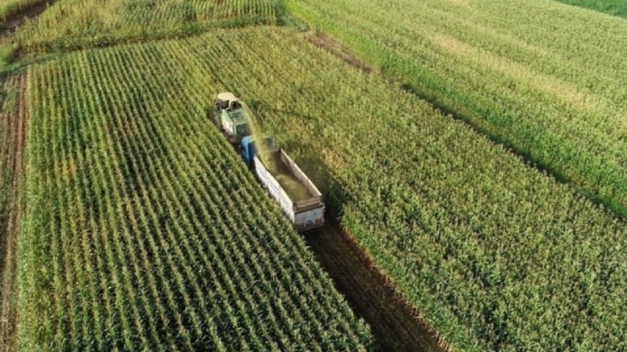 Foto - Türkiye’nin çeyrek asırlık çınarı devrildi! 31 yıllık dev şirket sessiz sedasız iflas etti