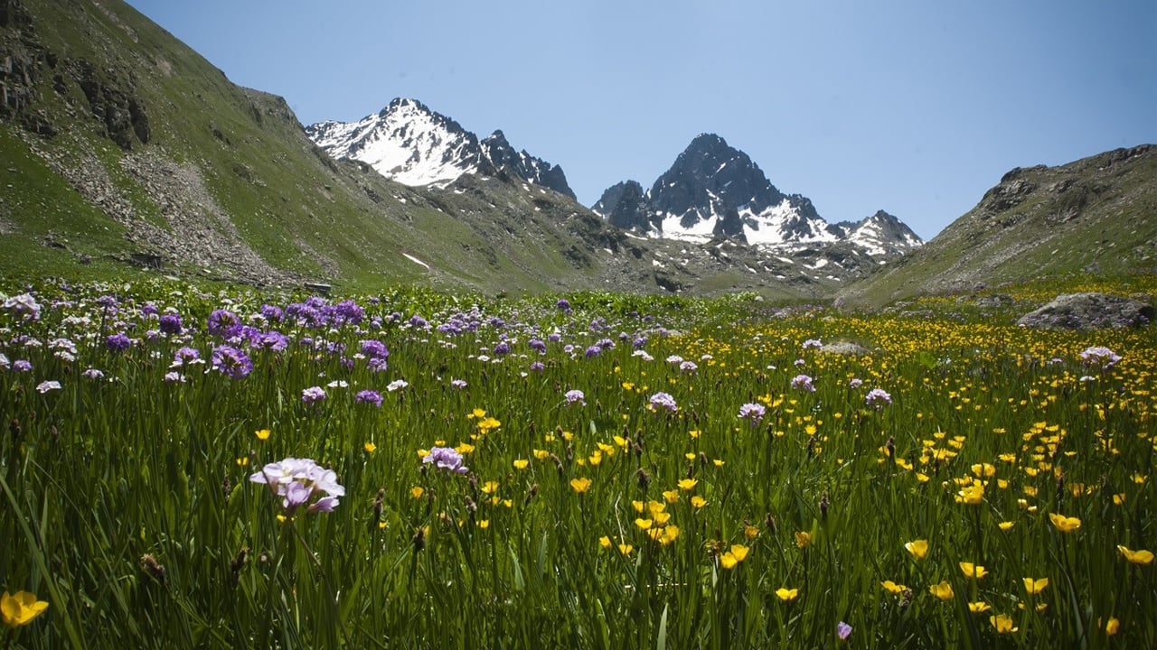 Foto - Türkiye'nin doğal sit alanı büyüklüğü belli oldu