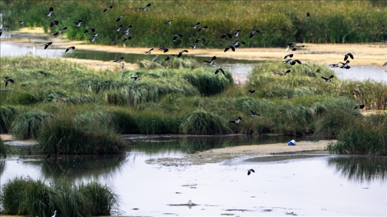 Foto - Türkiye'nin doğal sit alanı büyüklüğü belli oldu