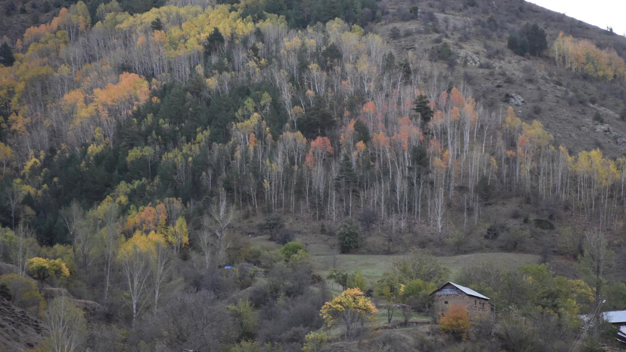 Foto - Türkiye'nin doğal sit alanı büyüklüğü belli oldu