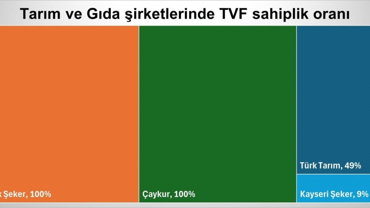 Foto - Türkiye’nin en büyük holdingi onlar! İşte Varlık Fonu’nun bünyesindeki dev şirketler