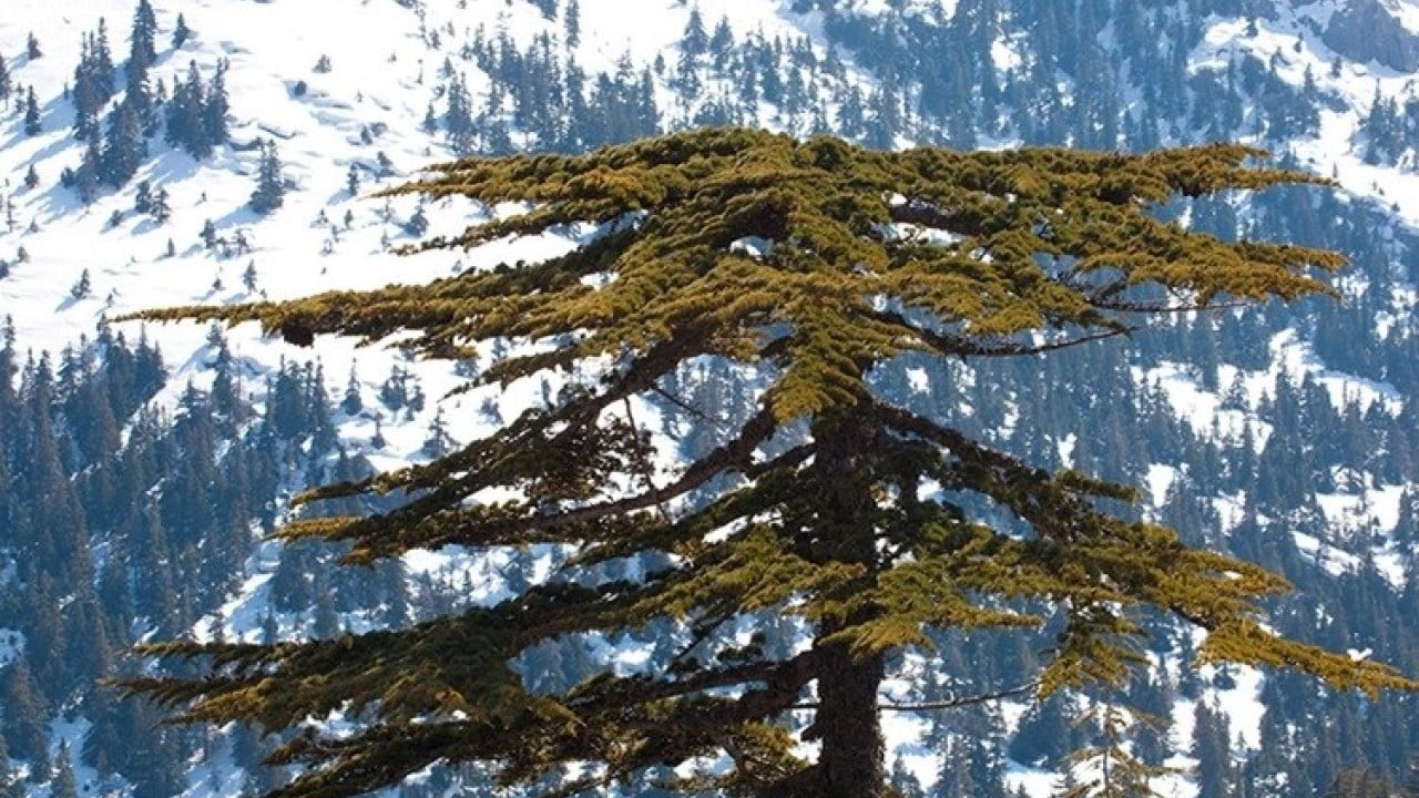 Foto - Türkiye'nin en esrarengiz dağı: Giden geri dönmüyor