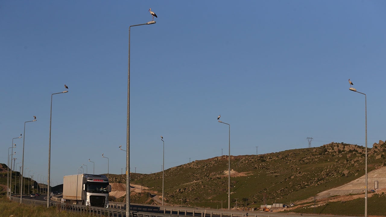 Foto - Türkiye'nin en güzel rotalarından... 