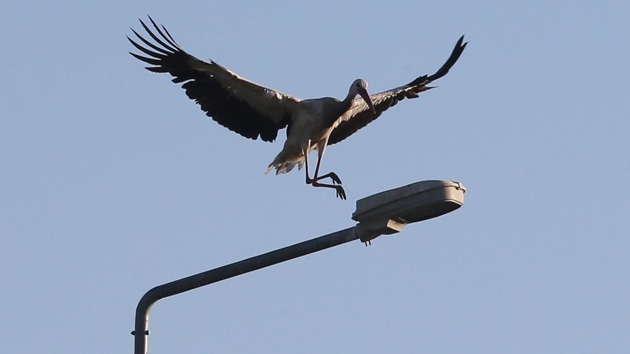 Foto - Türkiye'nin en güzel rotalarından... 