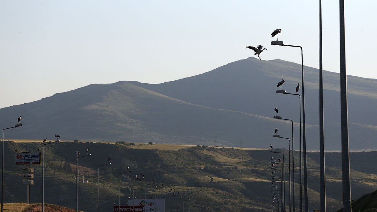 Foto - Türkiye'nin en güzel rotalarından... 