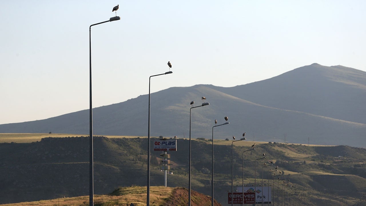 Foto - Türkiye'nin en güzel rotalarından... 