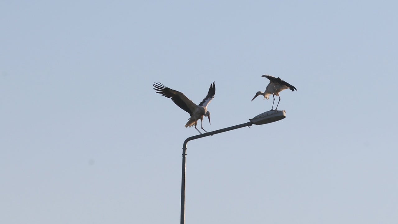 Foto - Türkiye'nin en güzel rotalarından... 