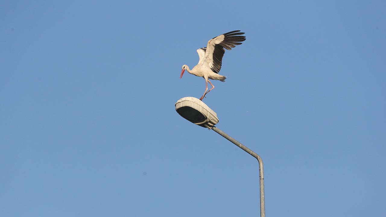 Foto - Türkiye'nin en güzel rotalarından... 
