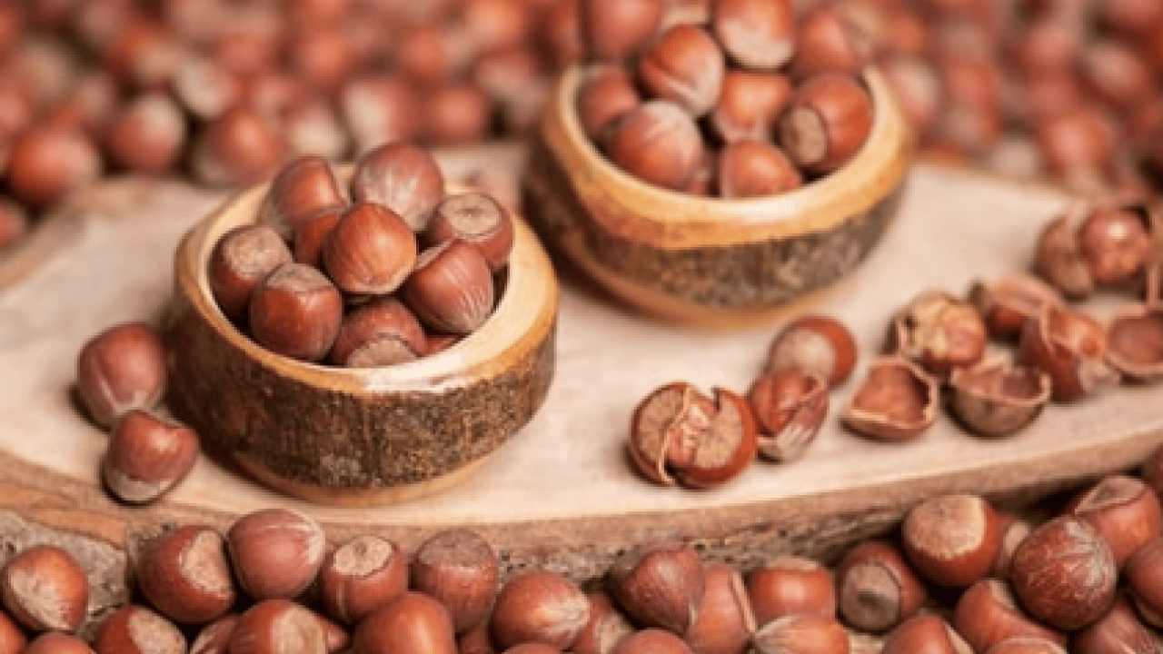 Foto - Türkiye'nin en önemli besini bakın en çok neye iyi geliyor! Kağıt kaleminizi hazırlayın... Not edin!