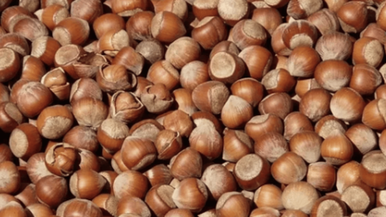 Foto - Türkiye'nin en önemli besini bakın en çok neye iyi geliyor! Kağıt kaleminizi hazırlayın... Not edin!