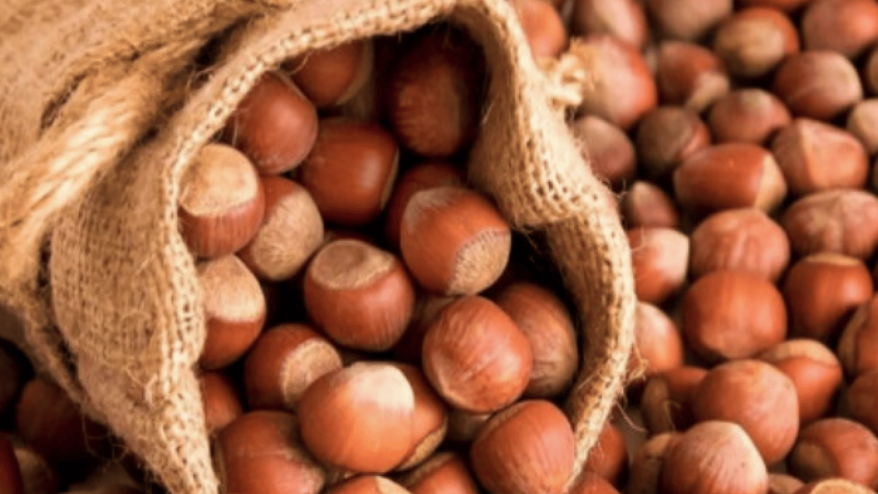 Foto - Türkiye'nin en önemli besini bakın en çok neye iyi geliyor! Kağıt kaleminizi hazırlayın... Not edin!