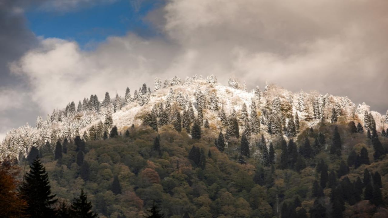 Foto - Türkiye’nin en sağlıklı şehirleri belli oldu! İşte en uzun ömürlü 10 ilimiz
