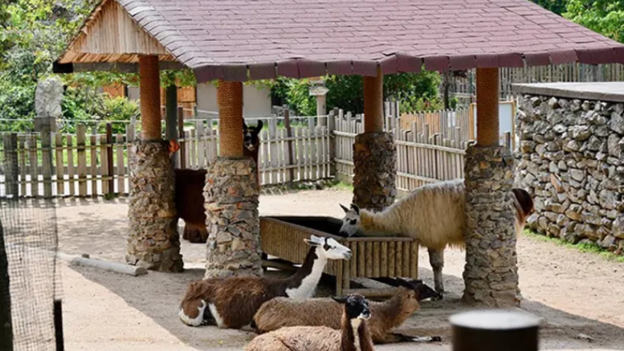 Foto - Türkiye’nin en ünlü hayvanat bahçesi kapatıldı