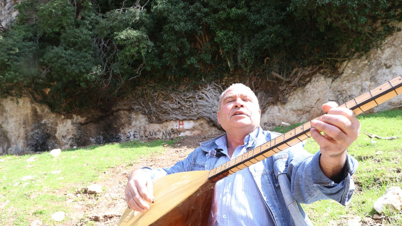 Foto - Türkiye'nin en yaşlı ikinci canlısı! 4 bin yıllık sarmaşık görenleri hayran bırakıyor