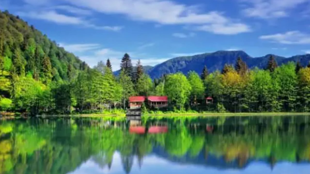 Foto - Türkiye'nin en yeşil ili belli oldu! Trabzon bu defa şaşırttı!