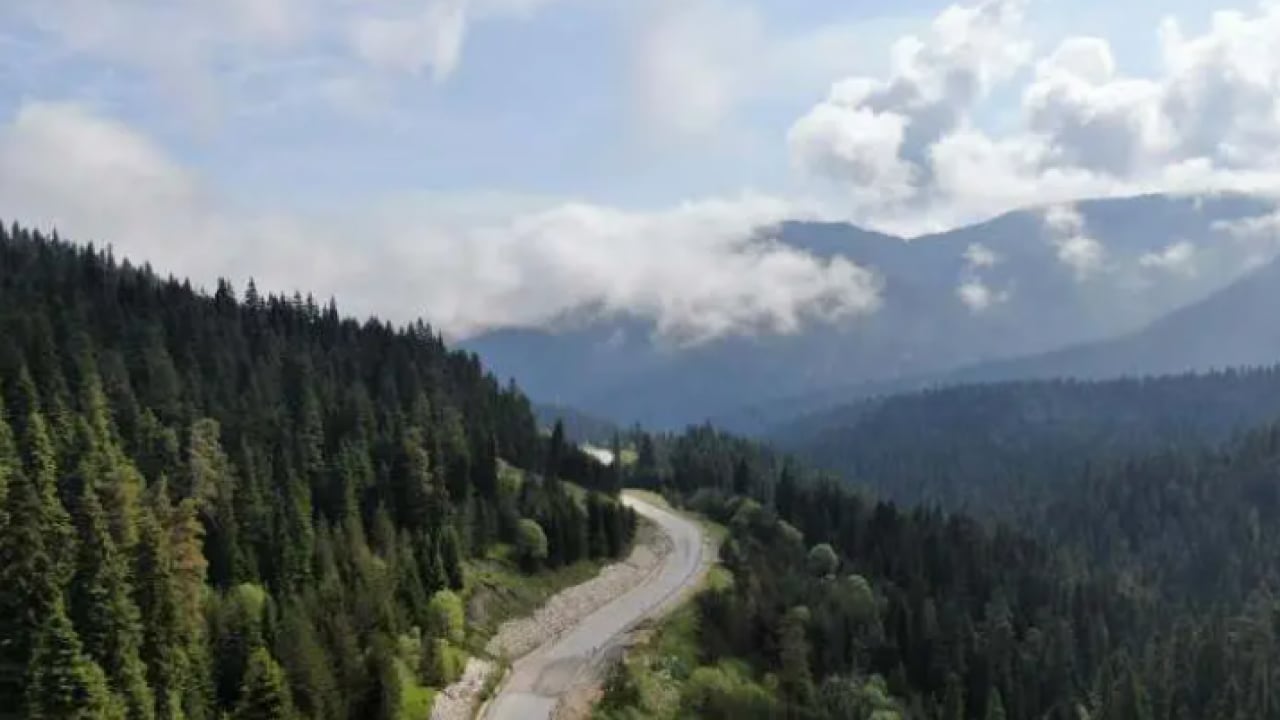 Foto - Türkiye'nin en yeşil ili belli oldu! Trabzon bu defa şaşırttı!