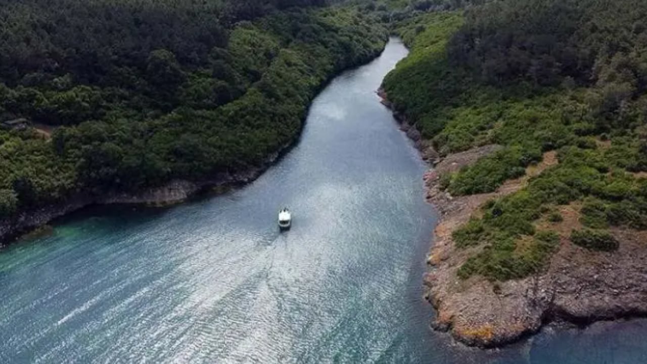 Foto - Türkiye'nin en yeşil ili belli oldu! Trabzon bu defa şaşırttı!