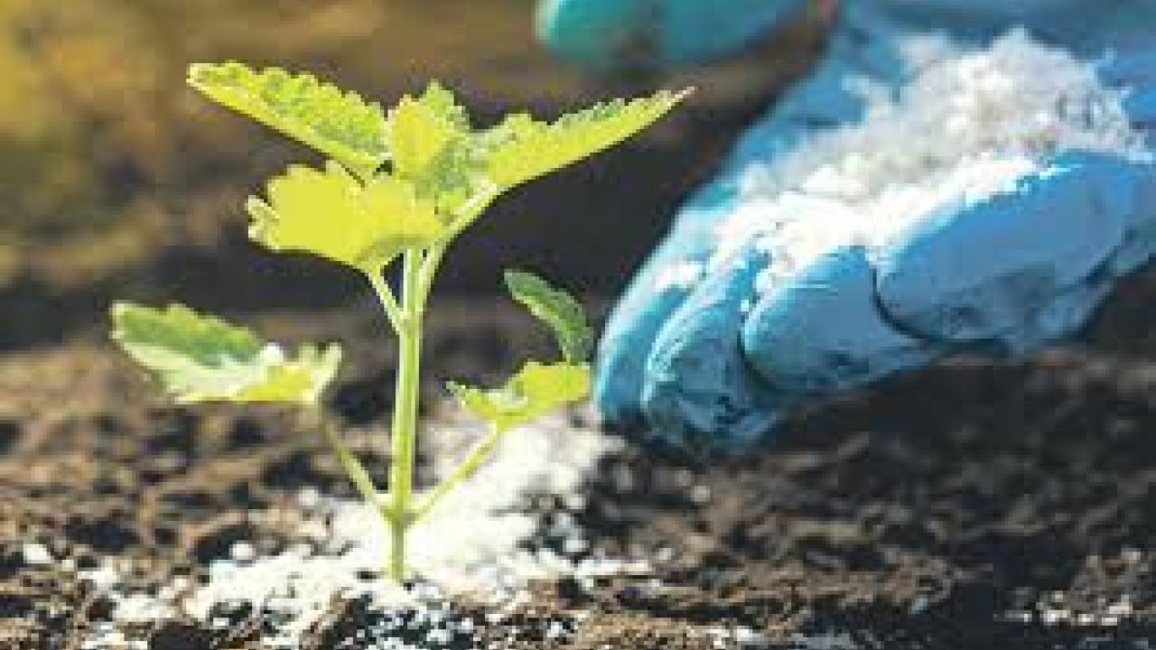 Foto - Türkiye'nin gübre ithalatı Rusya'yı havalara uçurdu! 'Olağanüstü' diyerek duyurdular