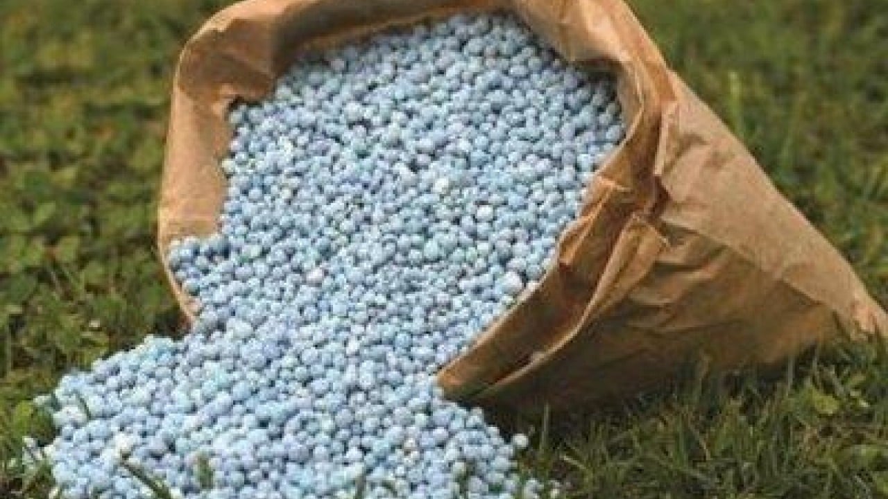 Foto - Türkiye'nin gübre ithalatı Rusya'yı havalara uçurdu! 'Olağanüstü' diyerek duyurdular