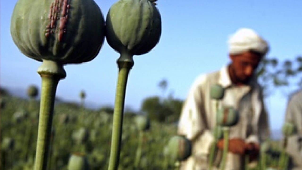 Foto - Türkiye'nin hamlesi Afganistan'ı rahatsız etti: Gerçek durumdan habersizler