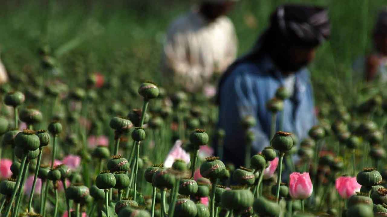 Foto - Türkiye'nin hamlesi Afganistan'ı rahatsız etti: Gerçek durumdan habersizler