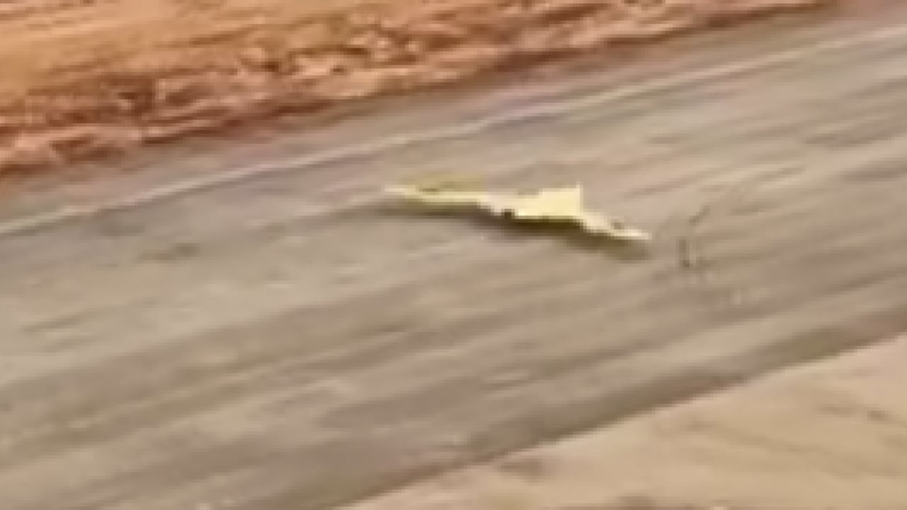 Foto - Türkiye'nin insansız savaş uçağı ANKA-3'ü kopyaladılar