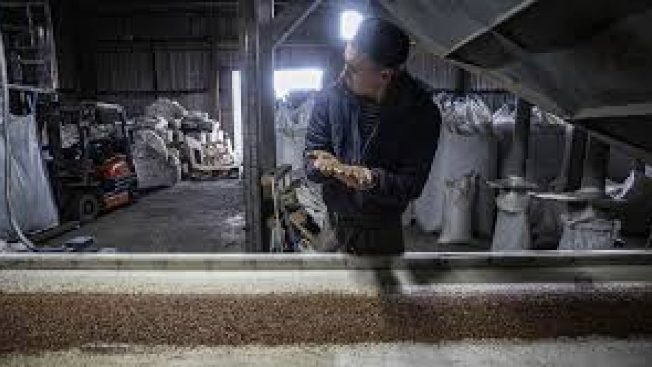 Foto - Türkiye'nin iyi niyetli çağrısına Rusya'dan tepki çeken tutum! Yine bildiklerini okudular