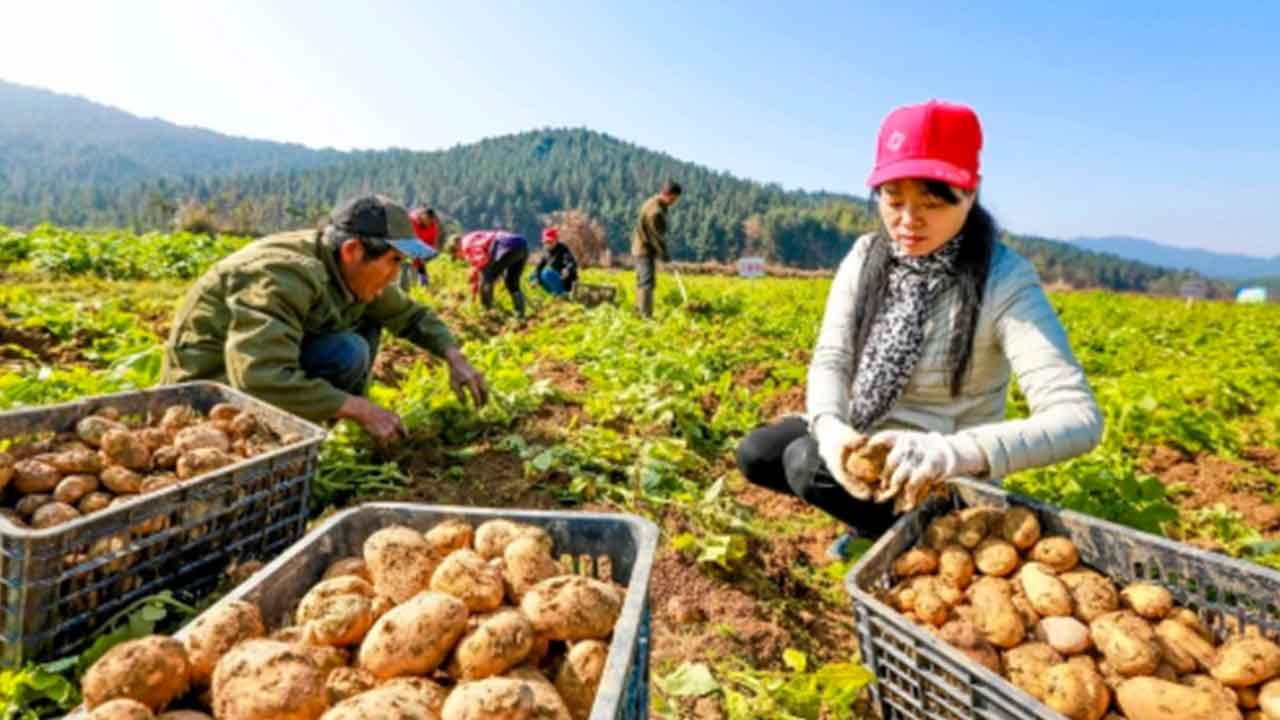 Foto - Türkiye'nin Kazakistan hamlesi Çin'e acil karar aldırdı: Apar topar bölgeye koştular