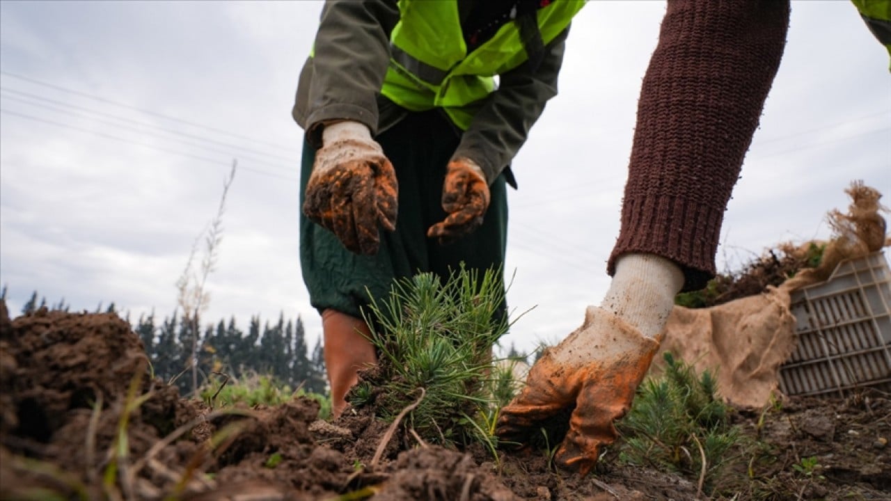 Foto - Türkiye’nin ormanlar için yaptığı harcama miktarı belli oldu