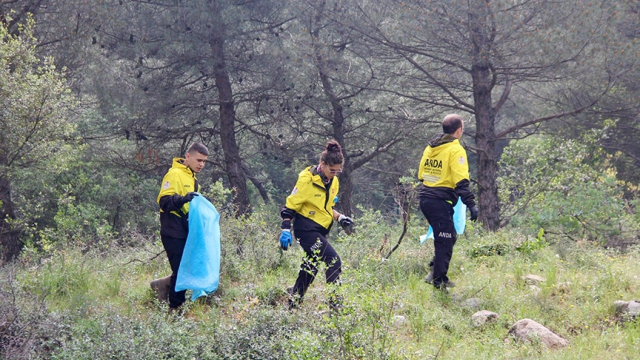 Foto - Türkiye’nin ormanlar için yaptığı harcama miktarı belli oldu