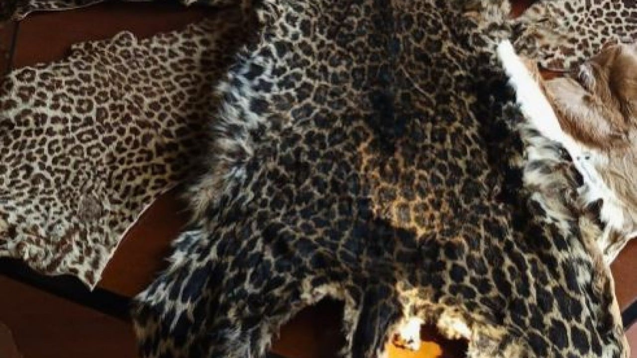 Foto - Türkiye'nin sınır güvenliği testi: Yaban hayatı kaçakçılığına geçit yok