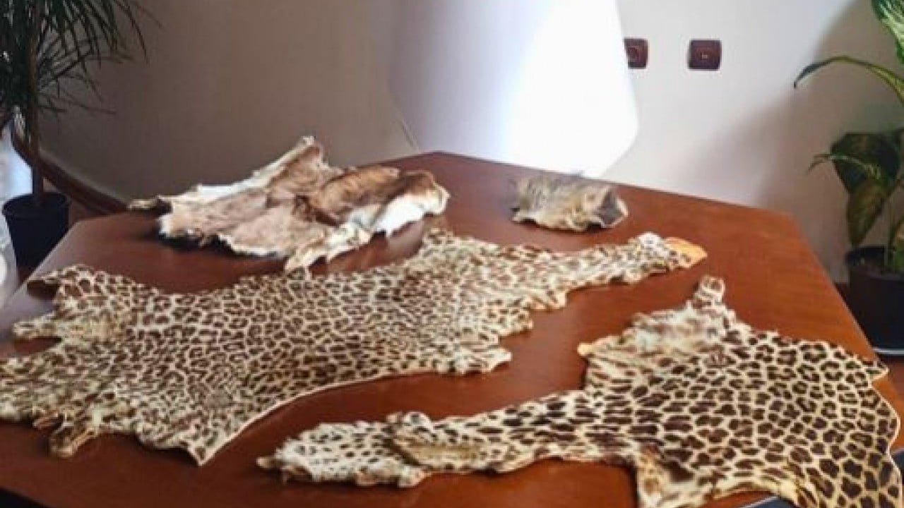 Foto - Türkiye'nin sınır güvenliği testi: Yaban hayatı kaçakçılığına geçit yok