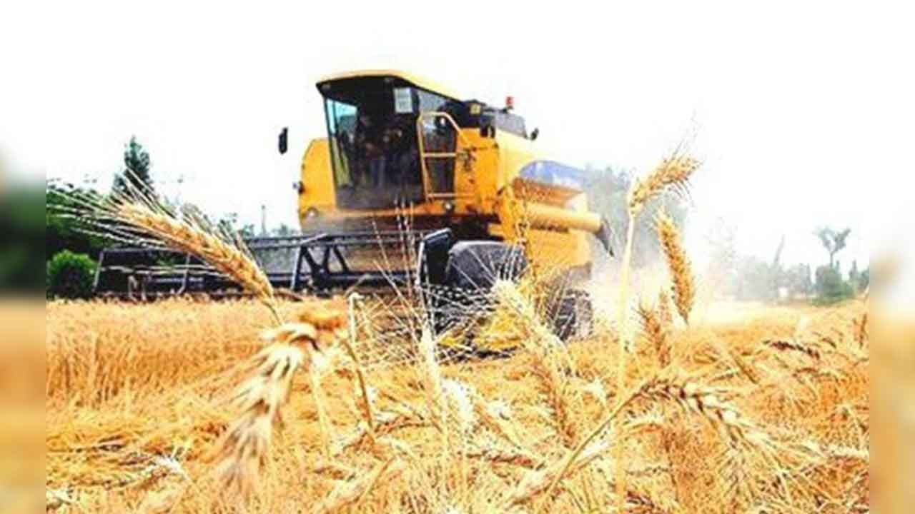 Foto - Türkiye'nin tarım devinden flaş karar: 'Vazgeçtik' diyerek duyurdular