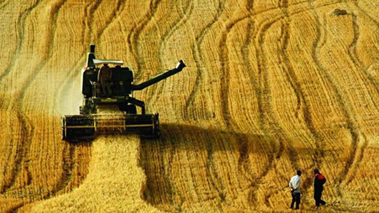 Foto - Türkiye'nin tarım devinden kötü haber maalesef geldi: İflas bayrağını çektiler