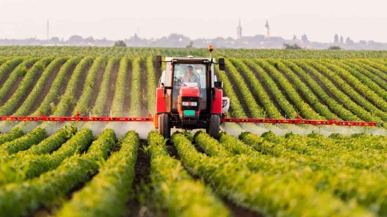 Foto - Türkiye'nin tarım devinden kötü haber maalesef geldi: İflas bayrağını çektiler