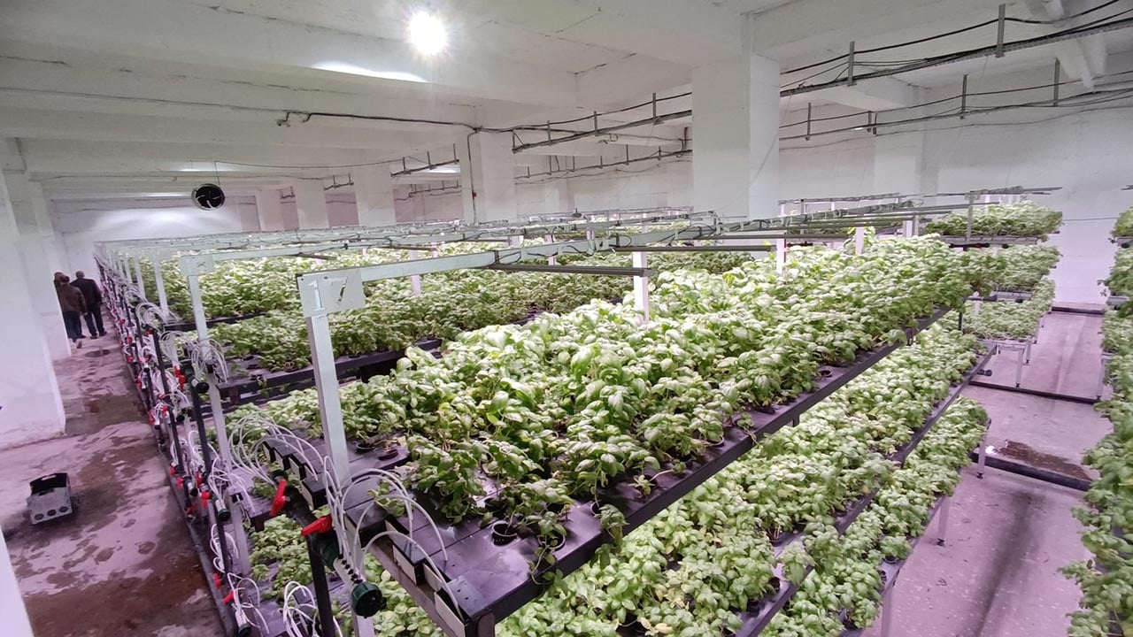 Türkiye’nin tarımda yeni hamlesi! -1. katta bunu da yaptılar