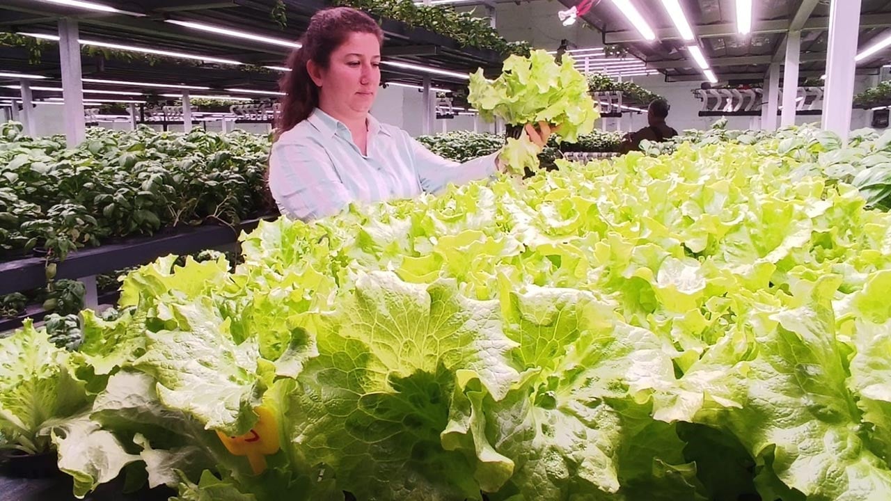 Foto - Türkiye’nin tarımda yeni hamlesi! -1. katta bunu da yaptılar