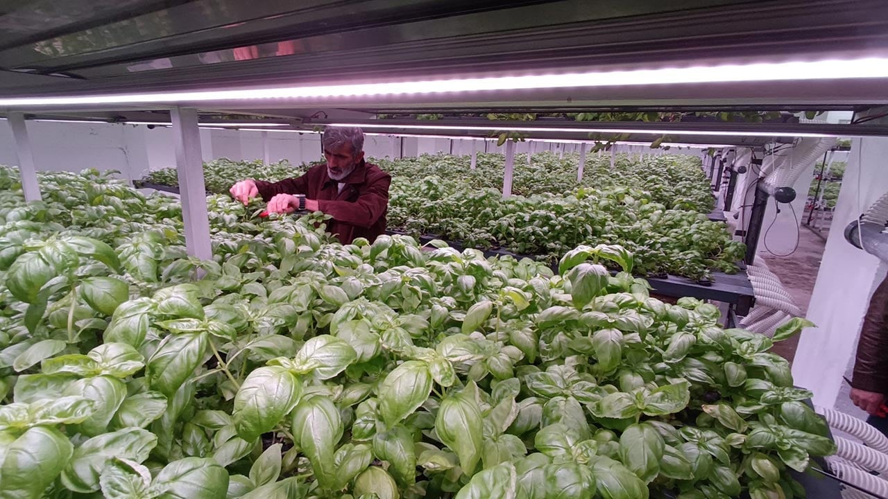 Foto - Türkiye’nin tarımda yeni hamlesi! -1. katta bunu da yaptılar