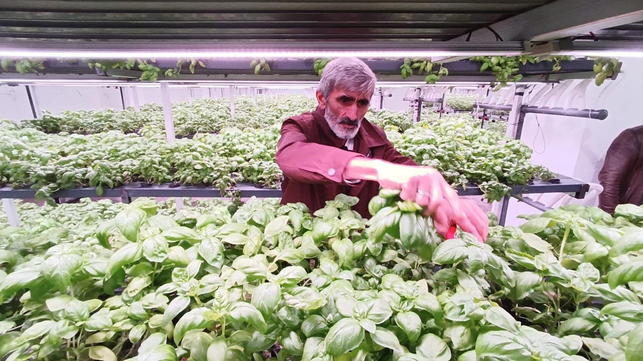 Foto - Türkiye’nin tarımda yeni hamlesi! -1. katta bunu da yaptılar