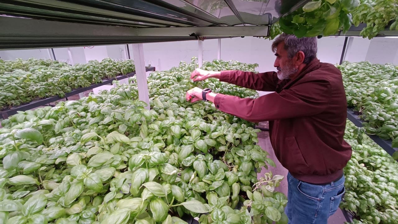 Foto - Türkiye’nin tarımda yeni hamlesi! -1. katta bunu da yaptılar